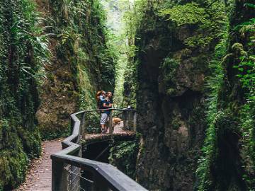Chambre Chez L'habitant Sainte-Engrace 230218-12