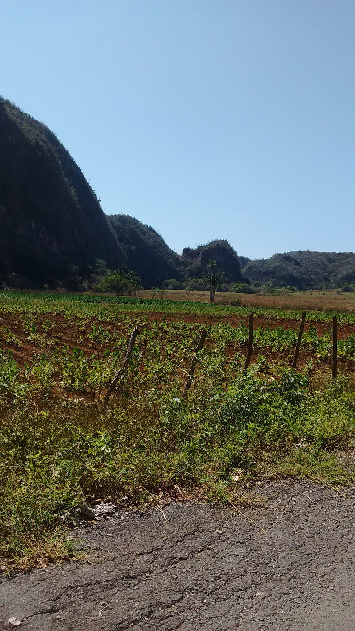 Chambre Chez L'habitant Viñales 205674