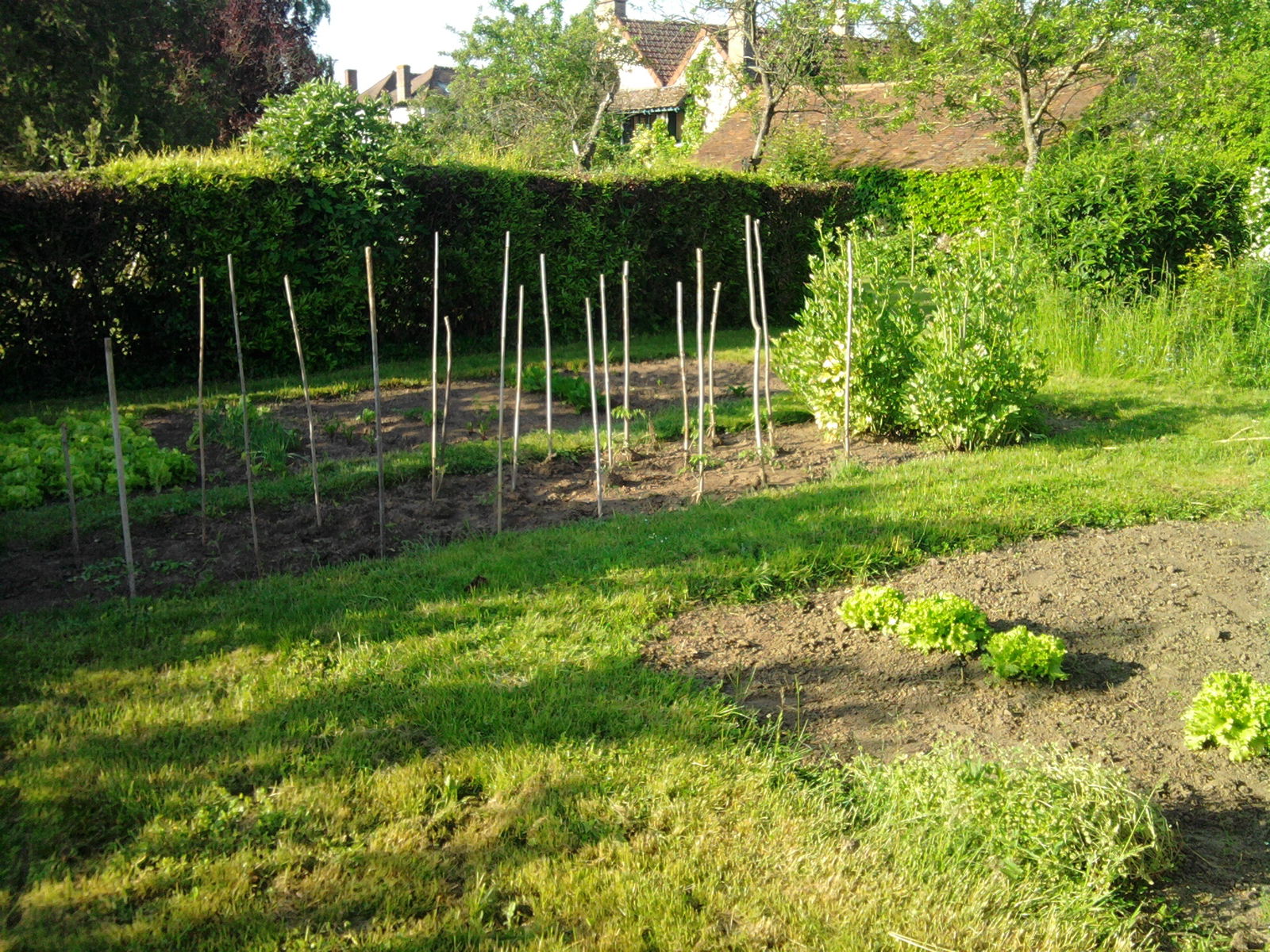Gastgezin Civry-la-Forêt 90091