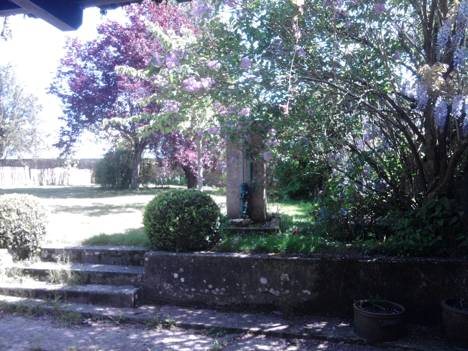 Gastgezin Civry-la-Forêt 90091