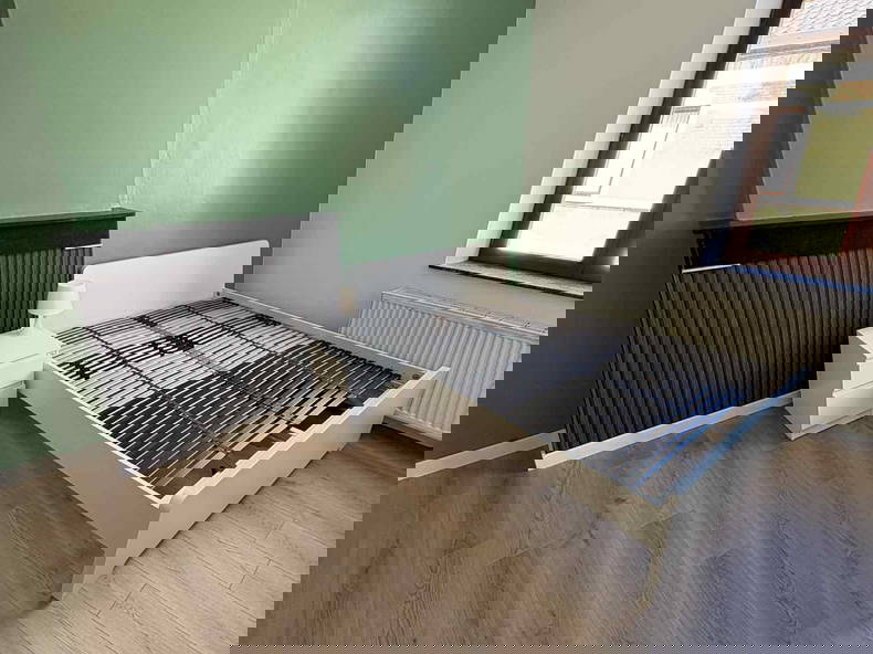 Kolokasie Charleroi 559941-1