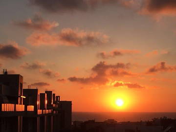 Gastfamilie Ashkelon 632060-2