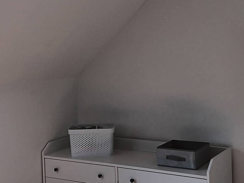 Kolokasie Mons 636599-2