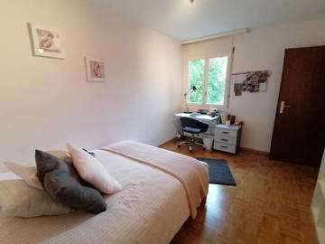 Chambre À Louer Fribourg 244598