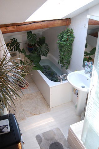 Chambre Chez L'habitant Montpellier 23107