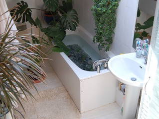 Quedarse En Casa Montpellier 23107-2