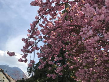 Chambre Chez L'habitant Noville 499546-8