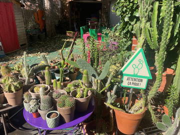 Chambre Chez L'habitant Douai 658091-11