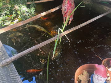 Chambre Chez L'habitant Douai 658091-12