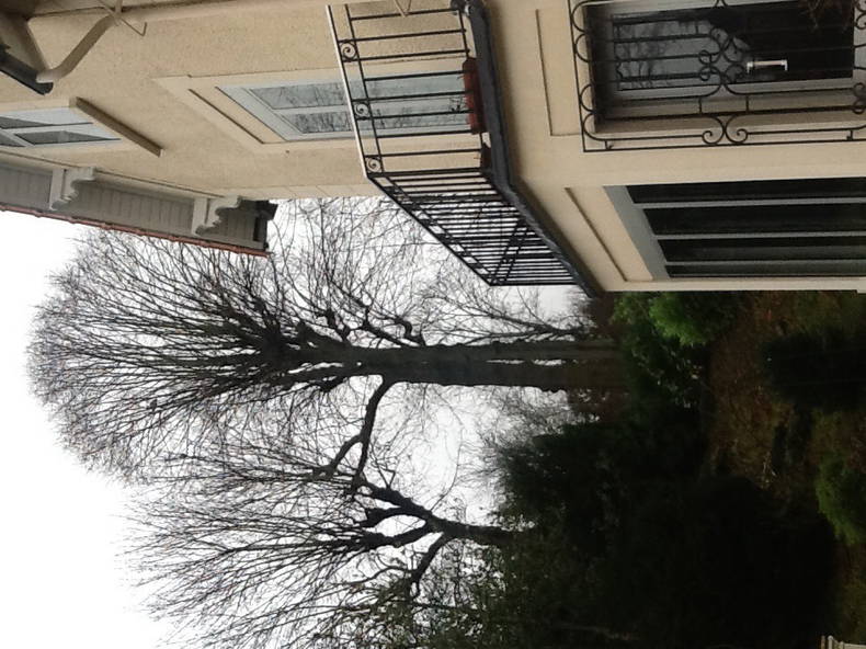 Chambre Chez L'habitant Sèvres 129610-1