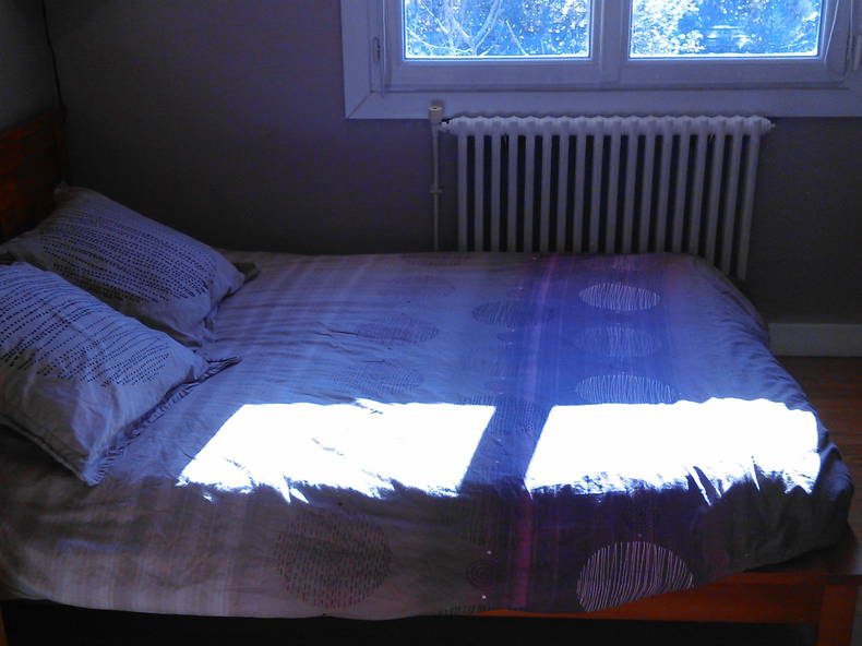 Chambre Chez L'habitant Toulouse 117388-1