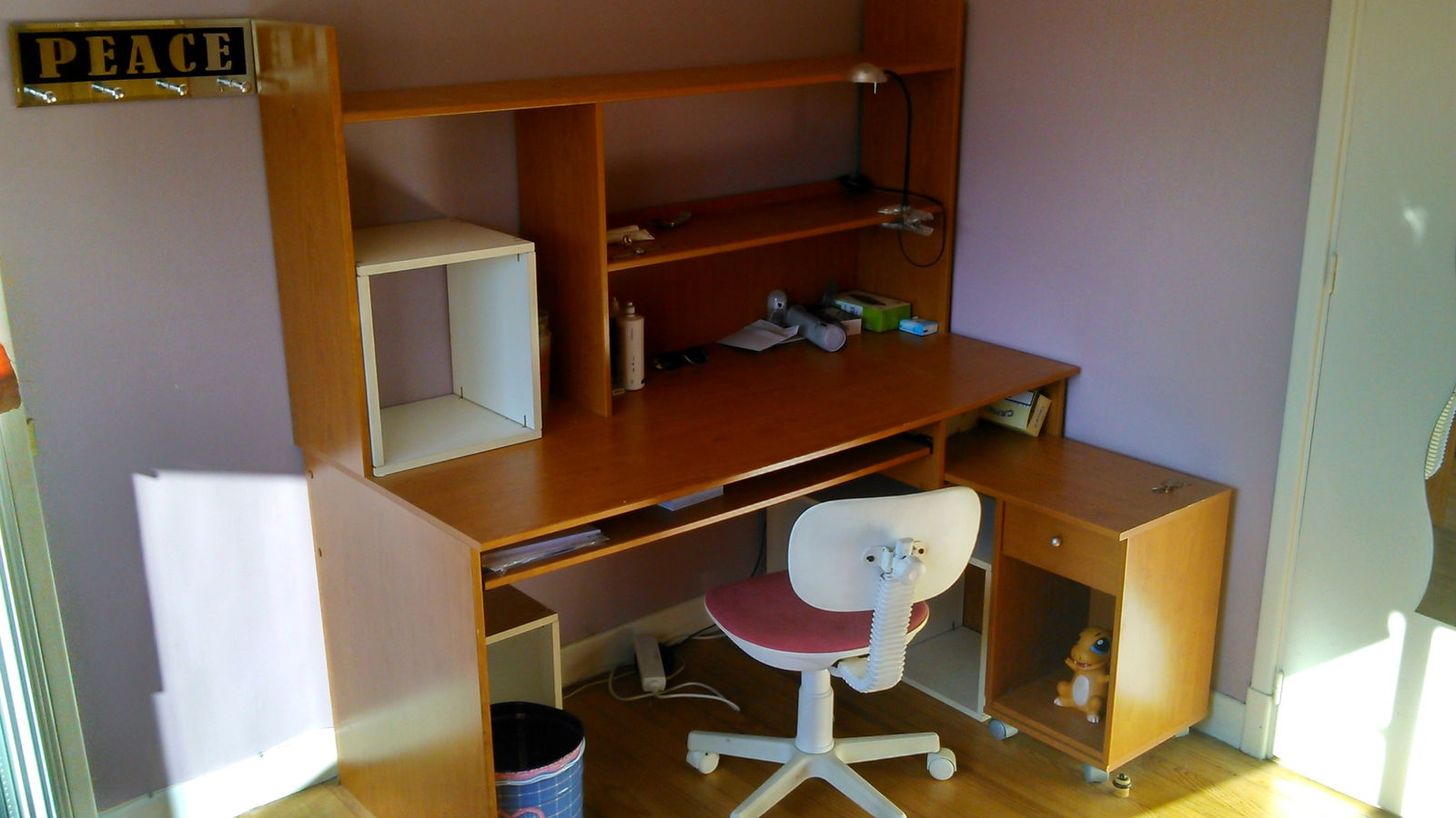 Chambre Chez L'habitant Toulouse 117388