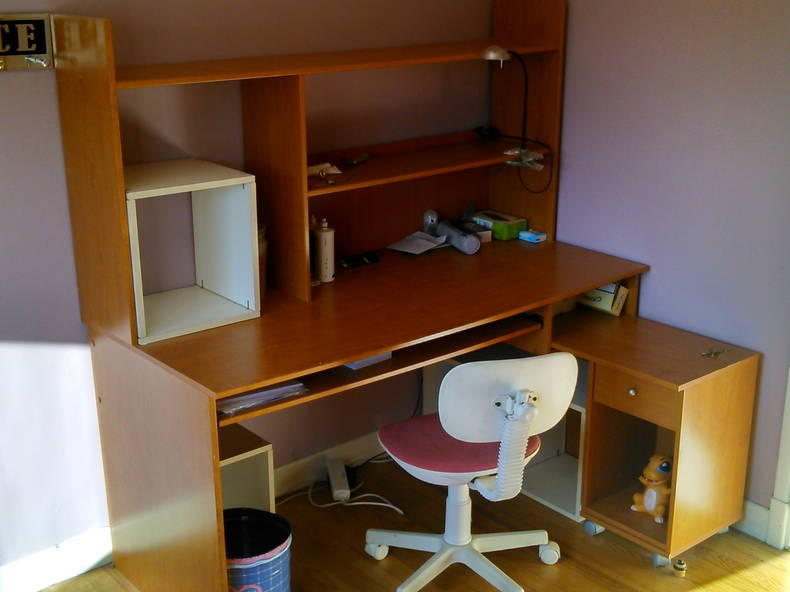 Chambre Chez L'habitant Toulouse 117388-3