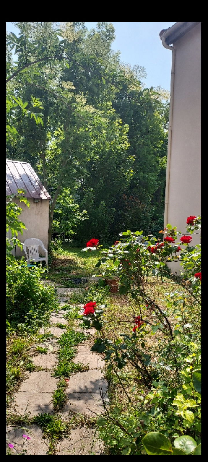 Gastfamilie Chelles 258976
