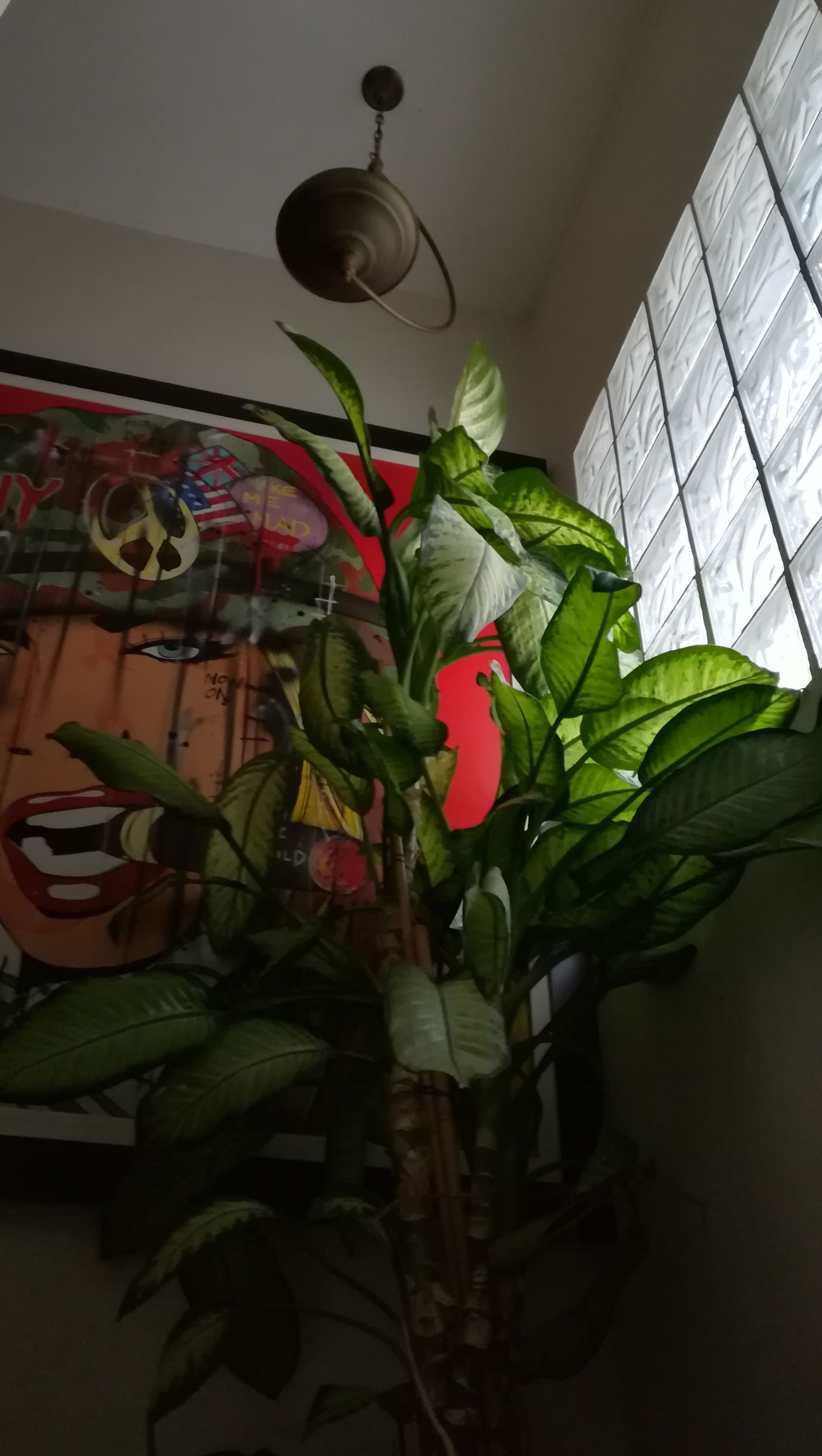 Homestay Vichy 215424