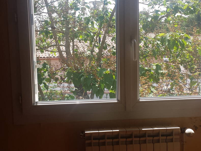 Gastfamilie Toulouse 105305-4