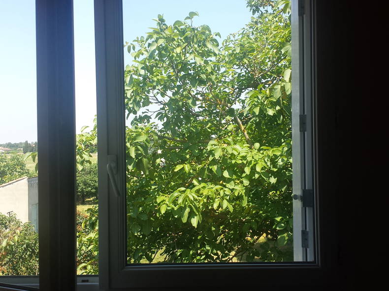 Gastfamilie Toulouse 105305-5