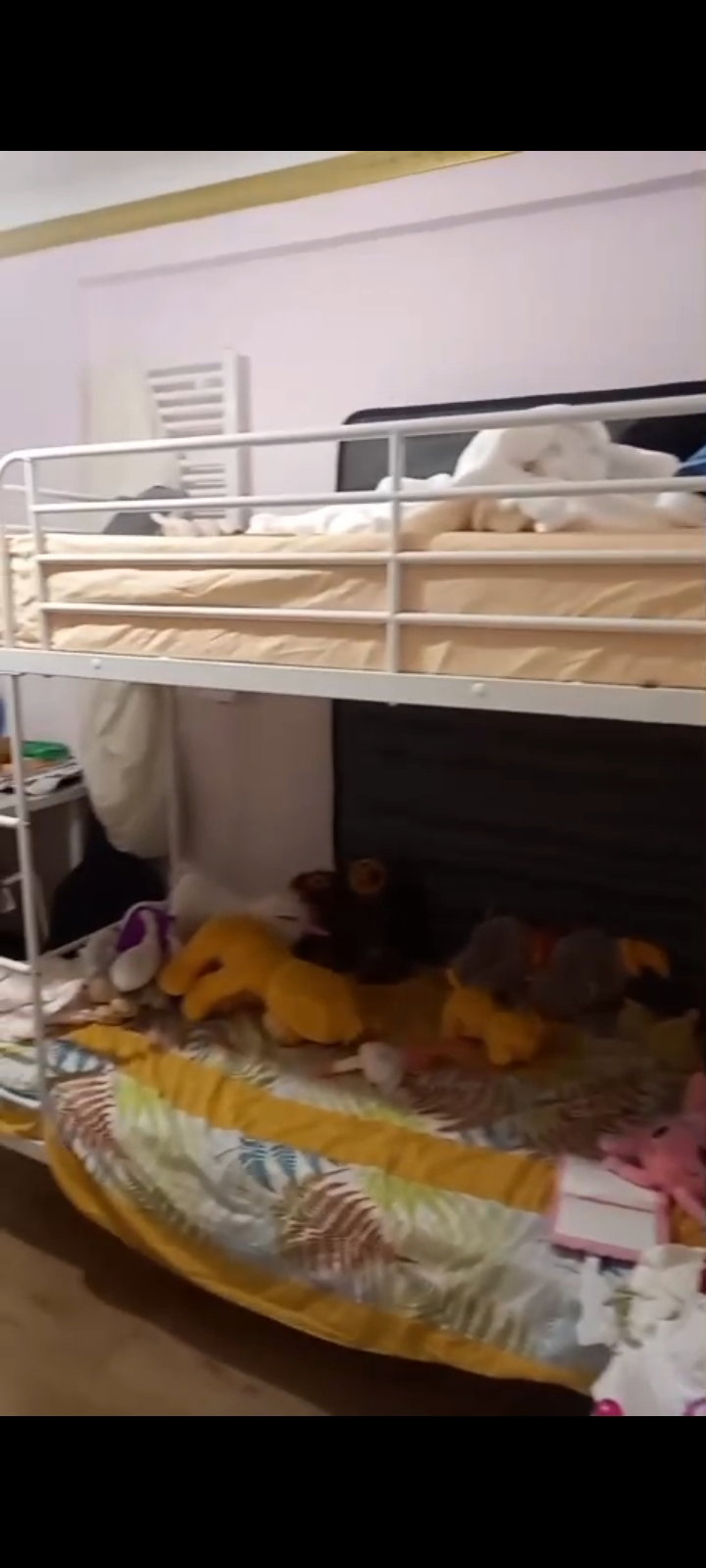 Chambre Chez L'habitant Choisy-le-Roi 658145