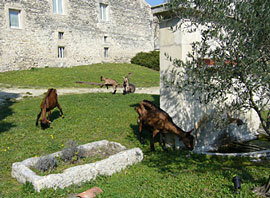 Chambres D'hôtes Grignan 66045