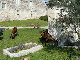 Chambres D'hôtes Grignan 66045-4