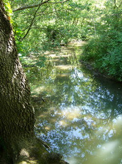 Chambres D'hôtes Grignan 66045