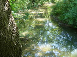 Chambres D'hôtes Grignan 66045-5