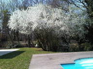 Homestay Saint-Genis-Laval 72481-3