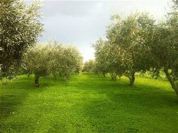 Chambre D'hôte Mezzojuso 73753-7