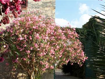 Chambre D'hôte Mezzojuso 73753-10