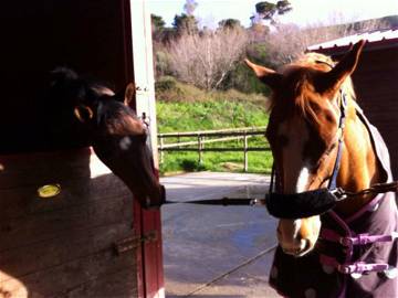 Chambre D'hôte Mezzojuso 73753-11