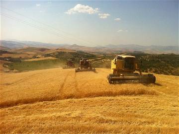 Chambre D'hôte Mezzojuso 73753-12