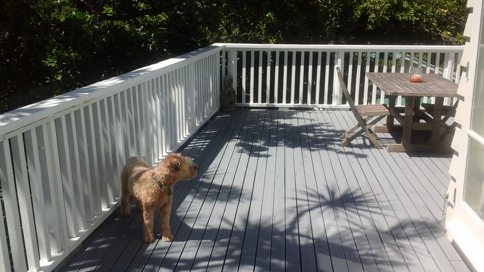 Chambre Chez L'habitant Wellington 138314