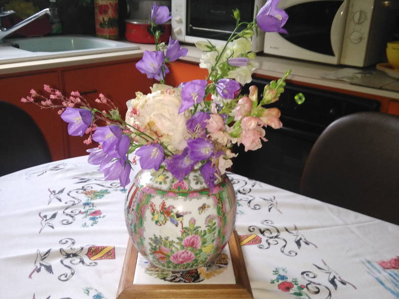 Gastfamilie Orléans 84595-5