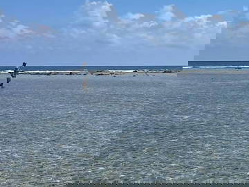 Logement Entier La Ceiba 76097-11