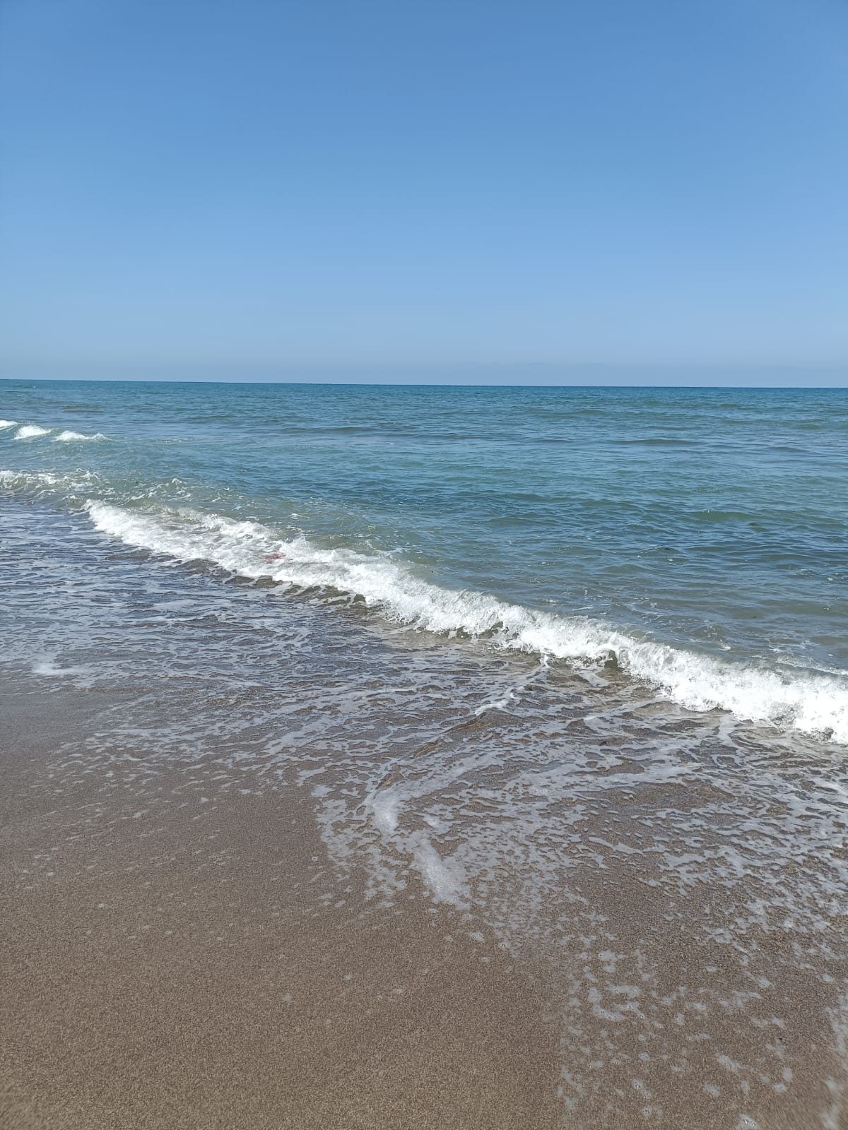 Logement Entier La Ceiba 76097