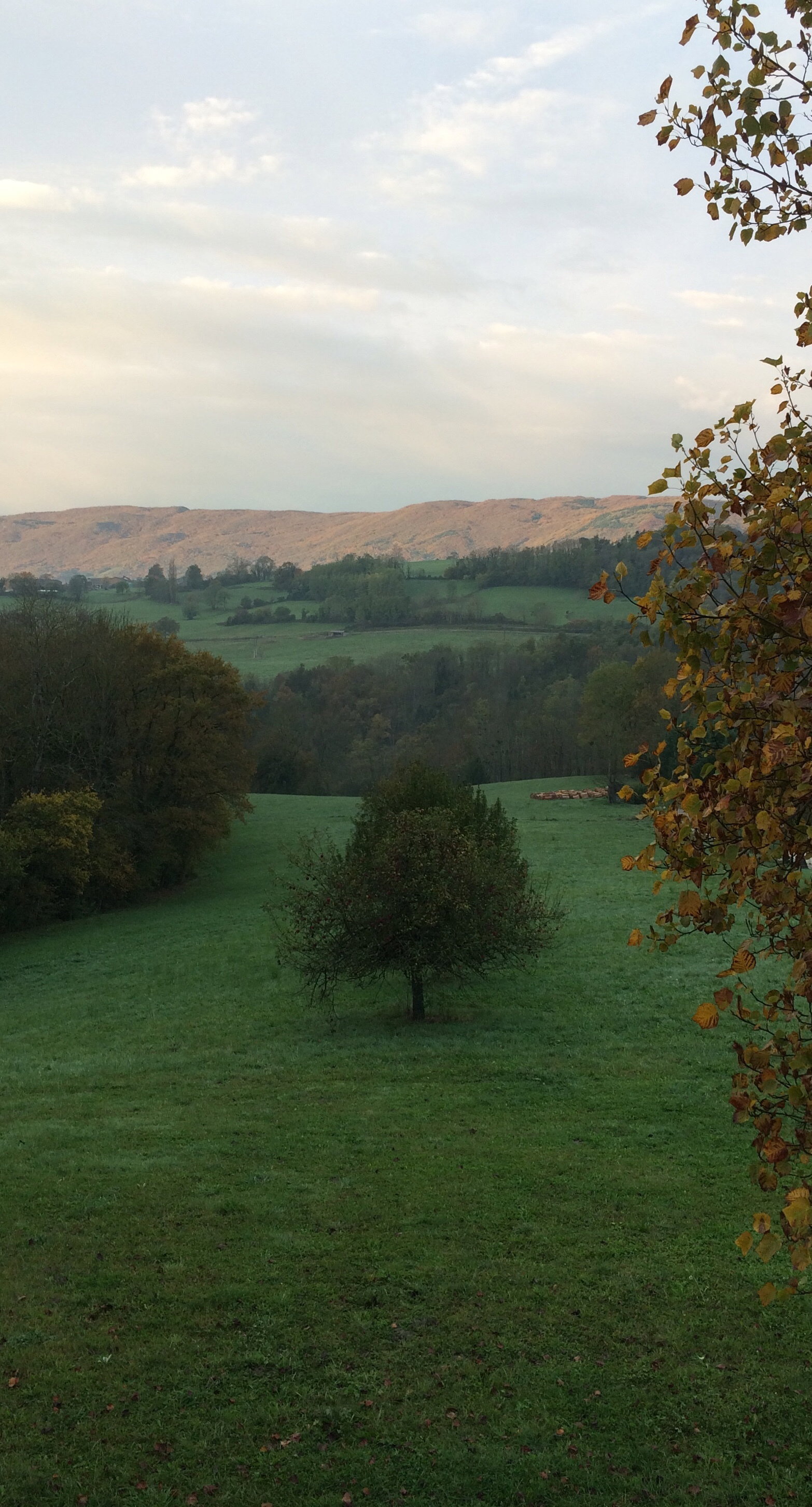 Gastenkamers Thusy 177873