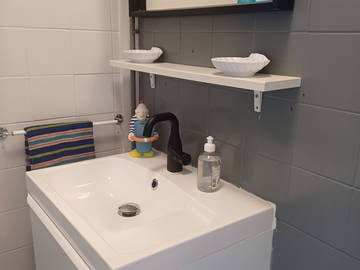 Logement entier à louer à Trégunc - photo 8 : salle de bain-8