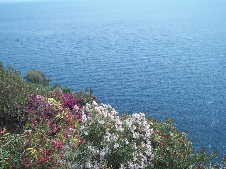 Bed And Breakfast Acireale 105671-3