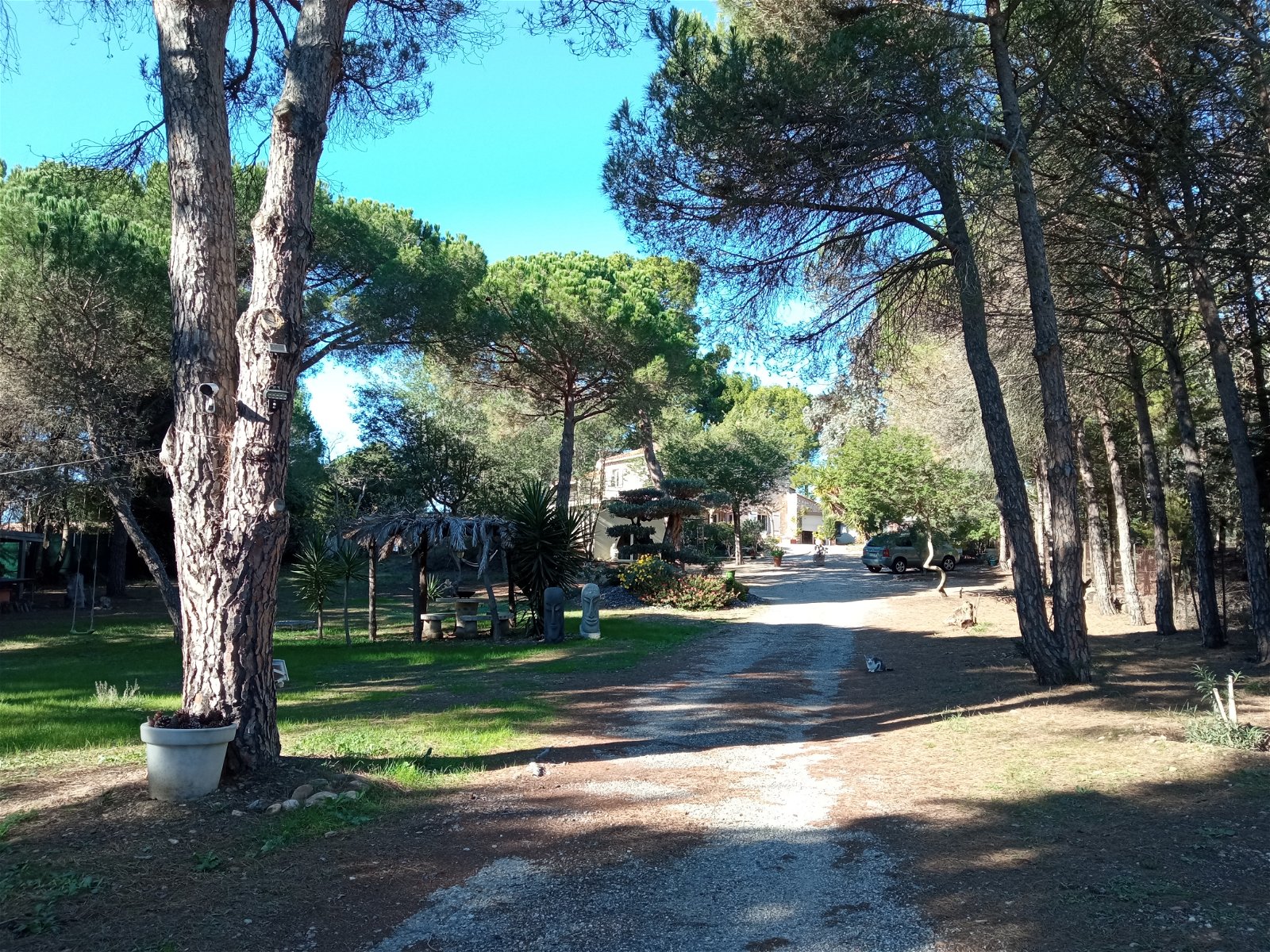 Gastgezin Canet-en-Roussillon 254596