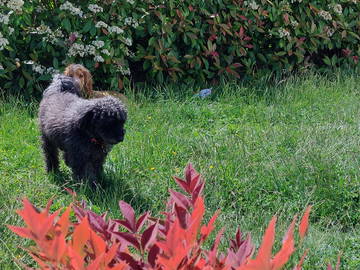Chambre Chez L'habitant Guénange 664043-3