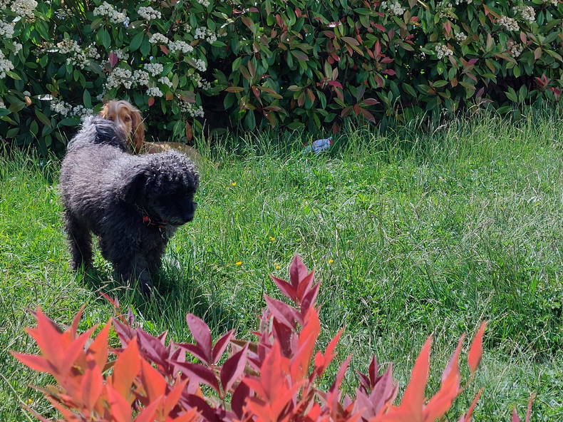 Quedarse En Casa Guénange 664043-3