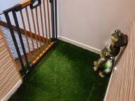 Famiglia Saint-Franc 428711-2