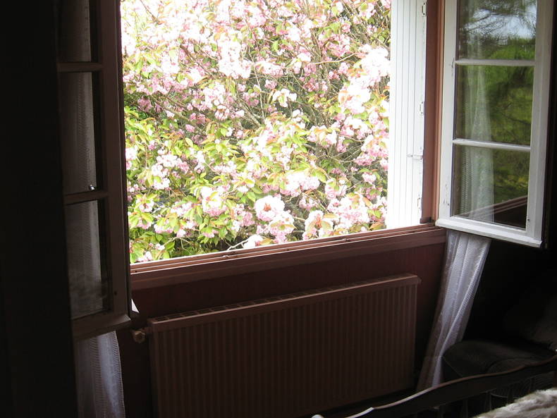 Homestay Fouesnant 86254-2