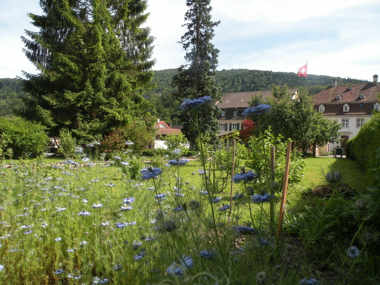 Homestay Soyhières 244929
