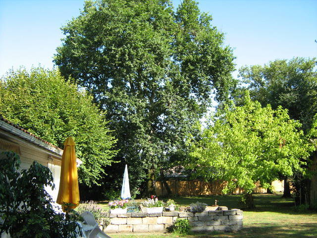 Bed And Breakfast Rion-des-Landes 19603-1