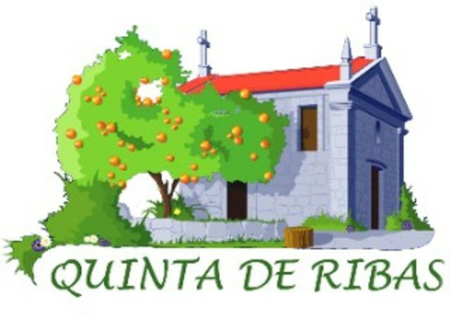 Bed And Breakfast Amarante 40051