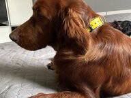 Quedarse En Casa Muret 453062-3