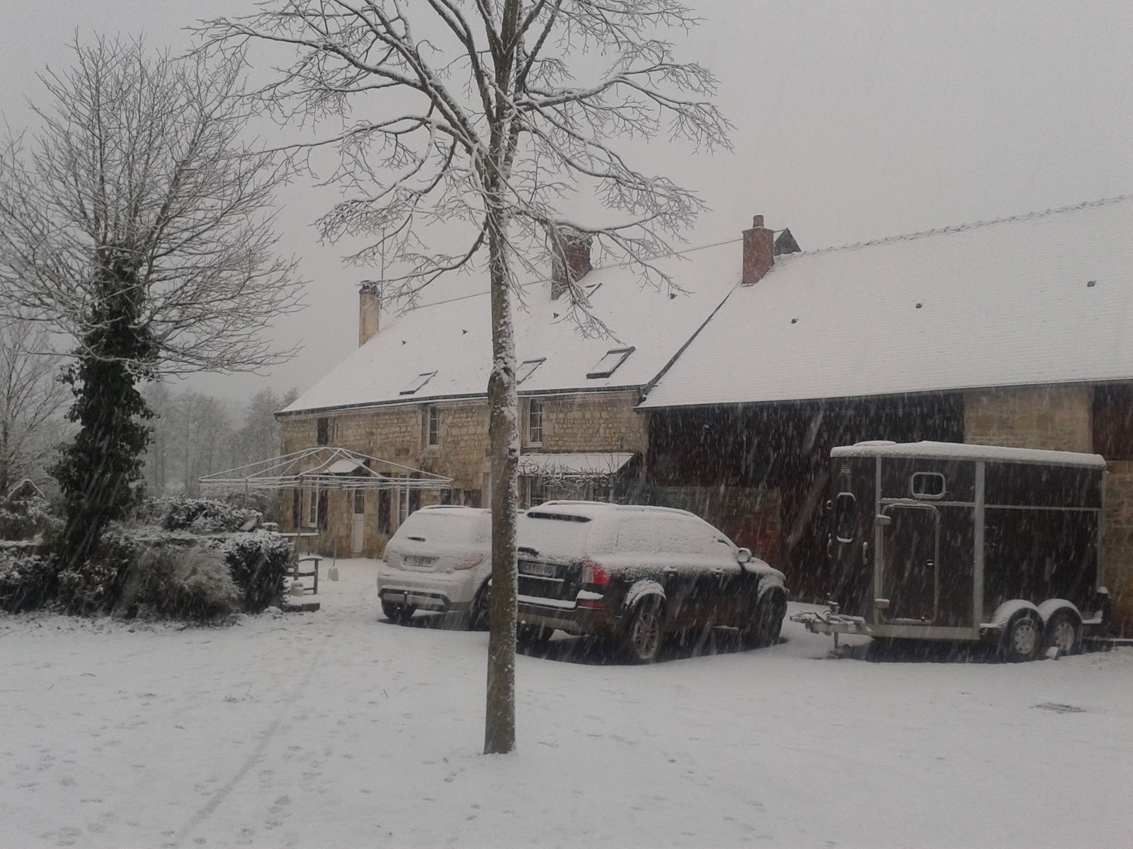 Chambres D'hôtes Villeneuve-en-Perseigne 134391