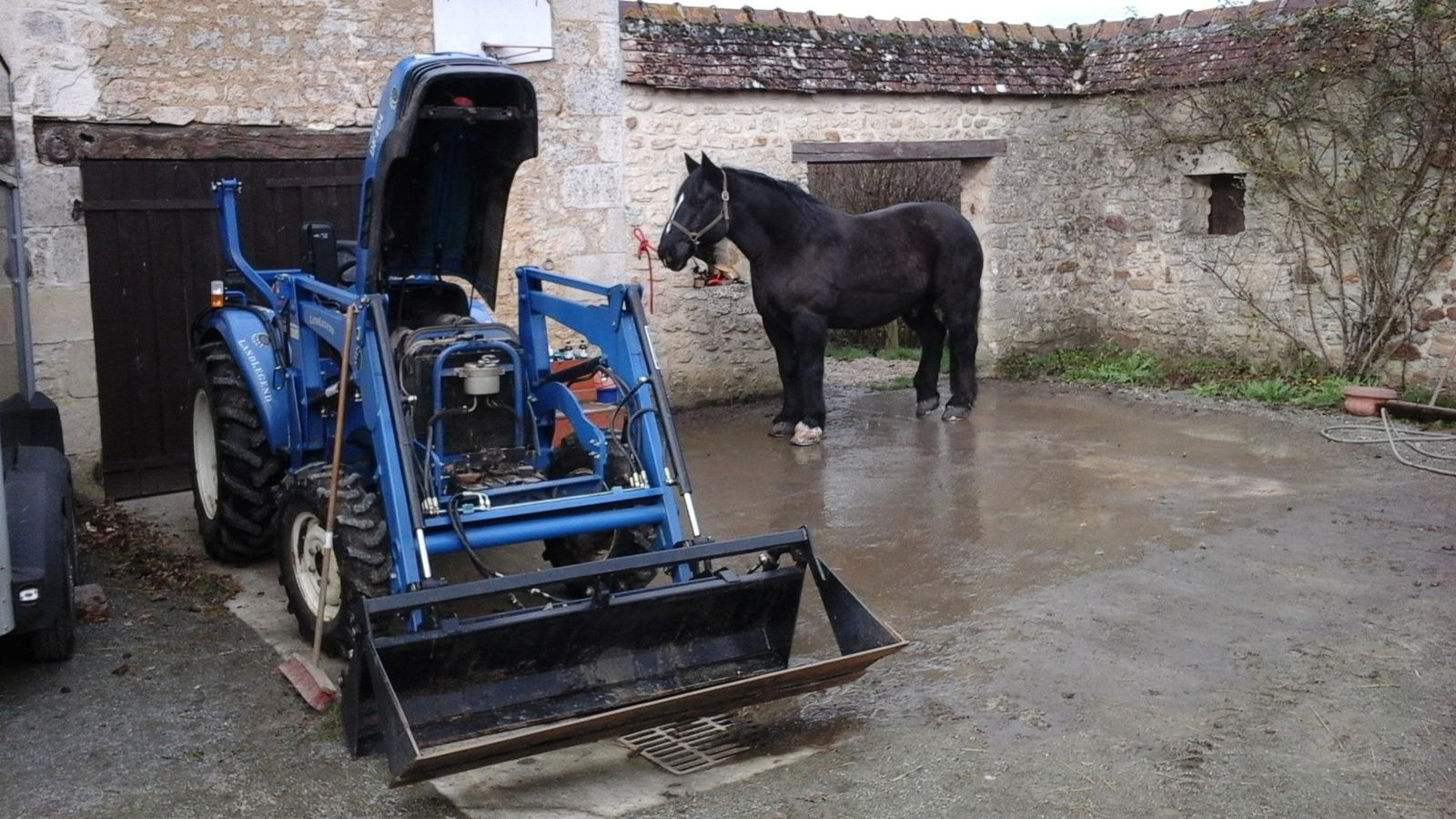 Chambres D'hôtes Villeneuve-en-Perseigne 134391