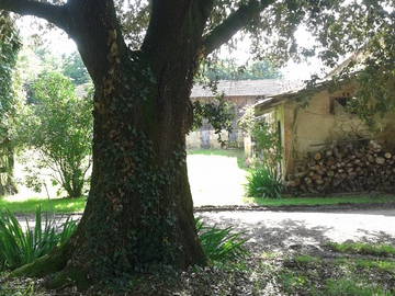 Gästrum Dému 60778-1